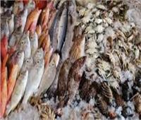 ثبات أسعار الأسماك في سوق العبور الأربعاء 4 أغسطس 2021  