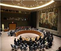 مجلس الأمن: بعثة تقصي الحقائق تواصل عملها بشأن الأسلحة الكيماوية في سوريا