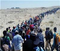 220 ألف شخص هربوا من الحرب في إقليمي أمهرة وعفار 