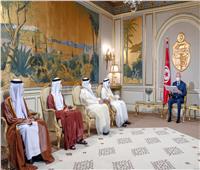 حاملًا رسالة من رئيس الإمارات.. قيس سعيد يستقبل أنور قرقاش في قصر قرطاج
