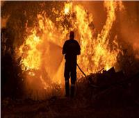 لليوم السابع على التوالي.. استمرار حرائق الغابات في اليونان