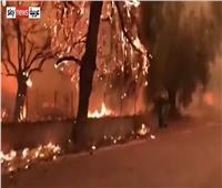حرائق غابات هائلة في ثاني أكبر جزيرة في اليونان لليوم السابع على التوالي| فيديو