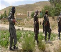 طالبان تسعى للسيطرة على مزار الشريف وواشنطن تتدخل دبلوماسيا