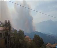 7 قتلى جراء حرائق الغابات بولاية تيزي في الجزائر| فيديو