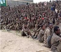 باحثة: الوضع الإنساني في إثيوبيا كارثي