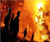 الجزائر: ارتفاع حصيلة ضحايا حرائق الغابات لـ42 شخصًا