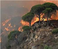 إيطاليا.. الحرائق تهدد محمية طبيعية مدرجة على قائمة التراث العالمي