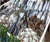 ثبات أسعار الأسماك في سوق العبور.. الخميس 12 أغسطس 