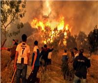 الحماية المدنية بالجزائر: نحاول إطفاء 92 حريقًا بـ16 ولاية