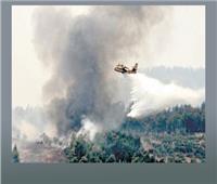الجزائر تستأجر طائرتين أوروبيتين لإطفاء الحرائق