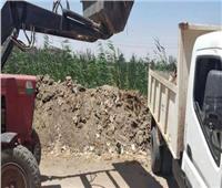 رفع 162 طن قمامة ومخلفات بمدينة السنطة في الغربية