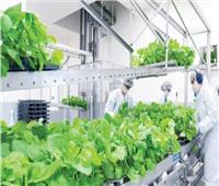 استخدام «الزراعة الجزيئية» لإنتاج لقاحات نباتية أرخص ثمنًا