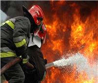الحماية المدنية الجزائرية: إخماد 41 حريقا في 9 ولايات خلال 24 ساعة