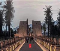 «متحف مفتوح».. استعدادات مكثفة للاحتفال بافتتاح طريق الكباش بالأقصر