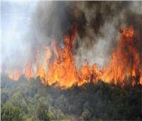 فرق الإطفاء تكافح لإخماد حريق غابات ضخم في جنوب فرنسا