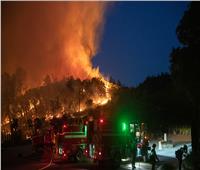 حرائق كاليفورنيا تدمّر مليون فدان