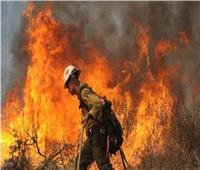 فرنسا تحاول السيطرة على حرائق الغابات بـ«900 رجل إطفاء» | فيديو