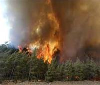 استمرار حرائق الغابات في اليونان لليوم الثالث