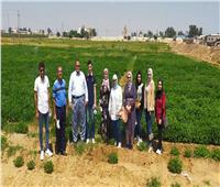 تخصيص يومًا تدريبيًا لطلاب زراعة جامعة قناة السويس بالإسماعيلية