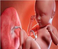 ما حكم التدخل الطبي في تحديد نوع الجنين؟.. «الإفتاء» تُجيب   