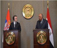 وزير الخارجية الصربي: نسعى لتعميق العلاقات الثنائية مع مصر في شتى المجالات 