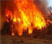 السيطرة على حريق في «نجوع غانم» بفرشوط 