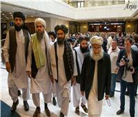 أستاذ سياسة: طالبان ليس أمامها خيار سوى الموافقة على تمديد الإجلاء من أفغانستان