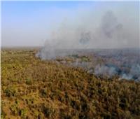 حرائق مفتعلة تجتاح محميات بيئية في بوليفيا