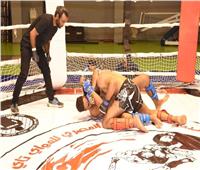 «المواي تاي» يضم رياضة الفنون القتالية المختلطة «MMA» ضمن لجانه رسميًا