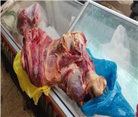 ضبط 126 كيلو دواجن ولحوم فاسدة في أسواق الغربية