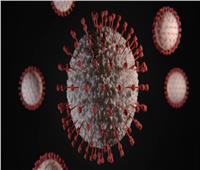  هل استخدم  فيروس كورونا كسلاح بيولوجي؟.. تقرير للاستخبارات الأمريكية يكشف الإجابة