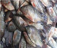 أسعار الأسماك اليوم الأحد 29 أغسطس