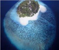 علماء يكتشفون جزيرة جديدة شمال الكرة الأرضية بـ«الصدفة»  