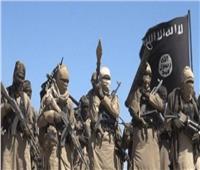 مقتل 17 شخصًا في هجوم لداعش بنيجيريا