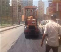 محافظ الدقهلية يكلف باستكمال أعمال ترميم شارع قناة السويس
