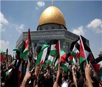 محلل: هدف القيادة المصرية وضع قضية فلسطين على دائرة المفاوضات الدولية