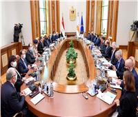 السيسي: مصر تتضامن مع مساعي تسوية القضية القبرصية وفقًا لقرارات مجلس الأمن