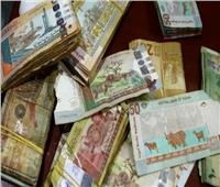 ارتفاع أسعار العملات الأجنبية وانخفاض «العربية» في «المركزي السوداني» 