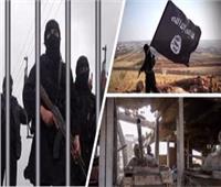 الإعدام لـ 3 متهمين بالانضمام لـ«داعش» بعد موافقة المفتي