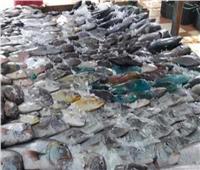 حبس مالك شركة ضبط بحوزته 5 طن أسماك فاسدة في القاهرة