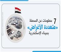 إنفوجراف| 7 معلومات عن محطة تحيا مصر «متعددة الأغراض» بميناء الإسكندرية