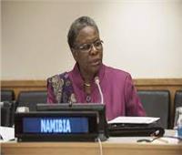 نائب رئيس وزراء ناميبيا: كورونا عززت الحاجة للتعاون متعدد الأطراف
