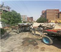 صور| مصادرة عربات كارو وحمير بحي المساكن في قنا