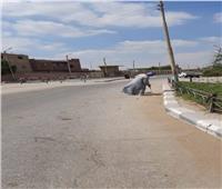 رفع ٢٠ طن مخلفات بقرية «البرجايه» في المنوفية