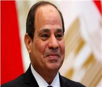 الرئيس السيسي.. الرئيس الإنسان وجابر خواطر المصريين| فيديو
