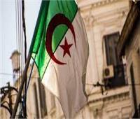 الجزائر تعد قانونا جديدا للاستثمار يستهدف مصادر تمويل غير متصلة بالطاقة 
