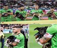  لهذا السبب.. لاعبو «دينامو بوخارست» يحملون كلاباً داخل أرضية الملعب