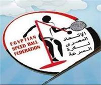 إلغاء «حكم أول درجة» لصالح الإتحاد المصري لكرة السرعة ضد الإتحاد الدولى