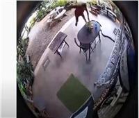رجل يتعرض لهجوم شرس من أفعى ضخمه داخل منزله |فيديو  