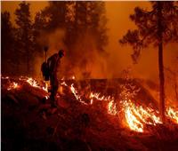 ارتفاع معدلات الوفاة العالمية والسر في حرائق الغابات